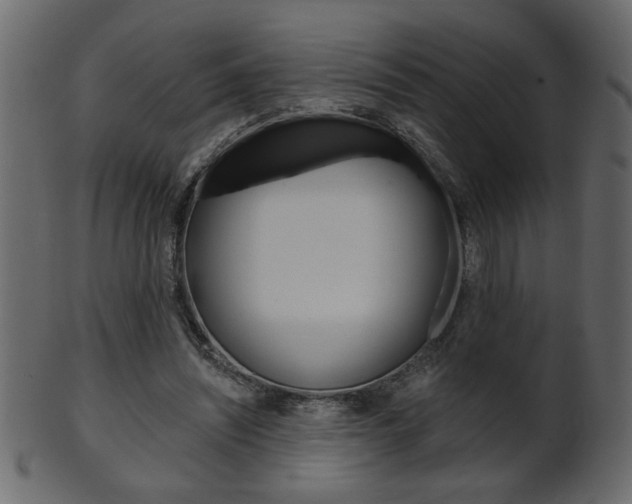 X0000102020444200807180947