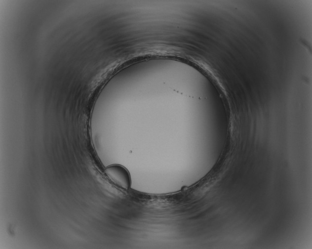 X0000102020445200807180947