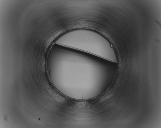 X0000102020446200807180947