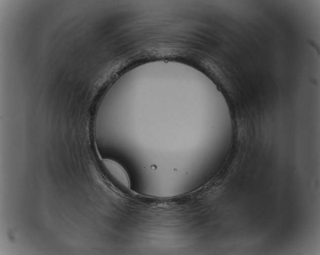 X0000102020447200807180947