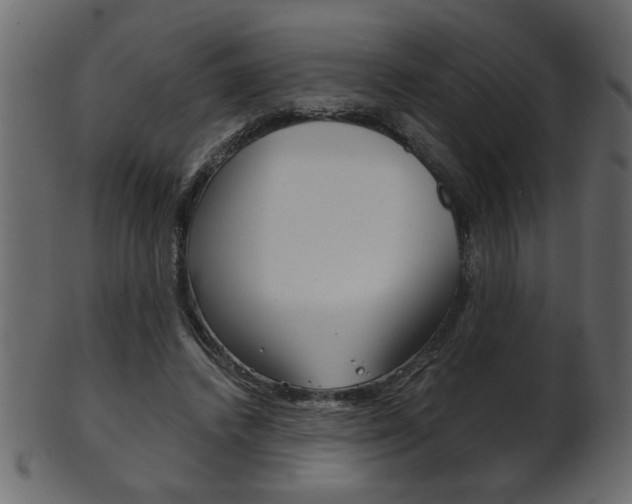 X0000102020448200807180947
