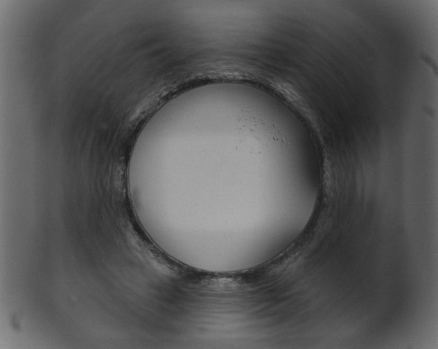 X0000102020449200807180947