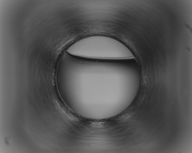 X0000102020450200807180947