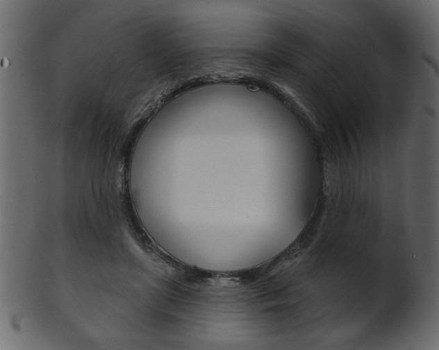 X0000102020451200807180947