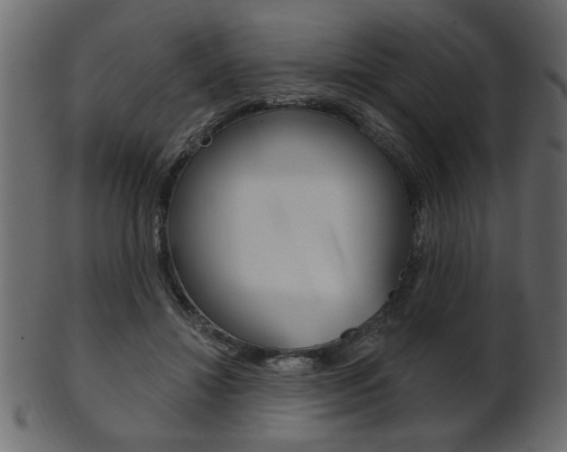 X0000102020452200807180947