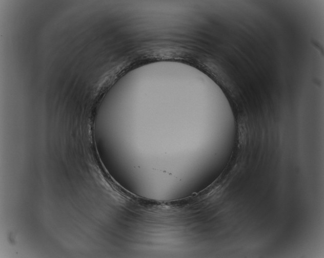 X0000102020453200807180947