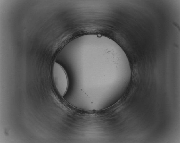 X0000102020454200807180947