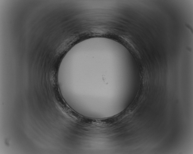X0000102020455200807180947