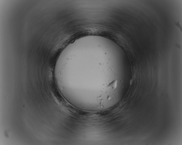 X0000102020456200807180947