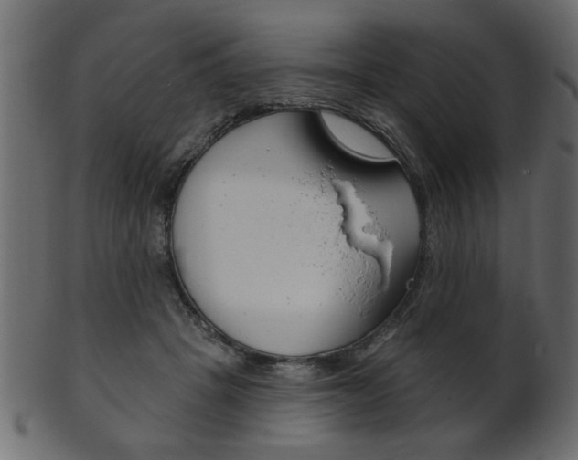 X0000102020457200807180947