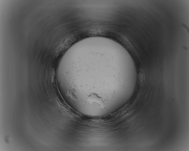 X0000102020458200807180947