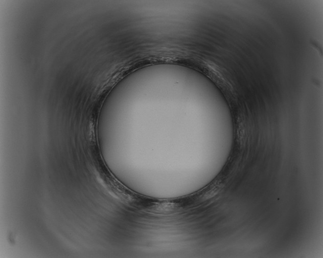 X0000102020459200807180947