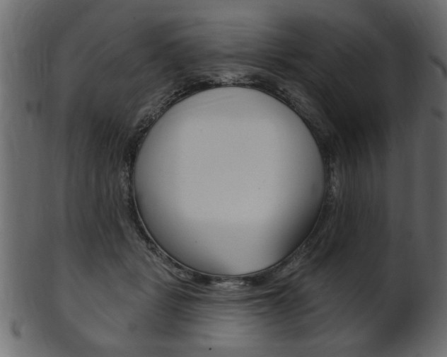 X0000102020461200807180947