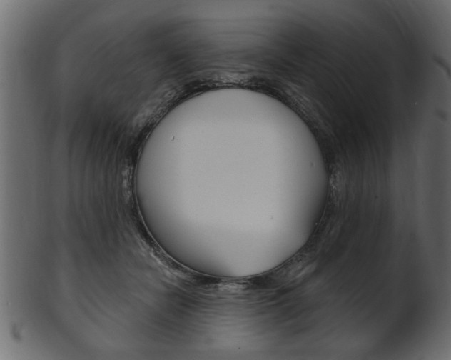 X0000102020462200807180947