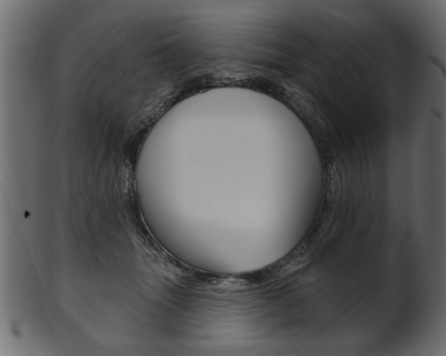 X0000102020463200807180947