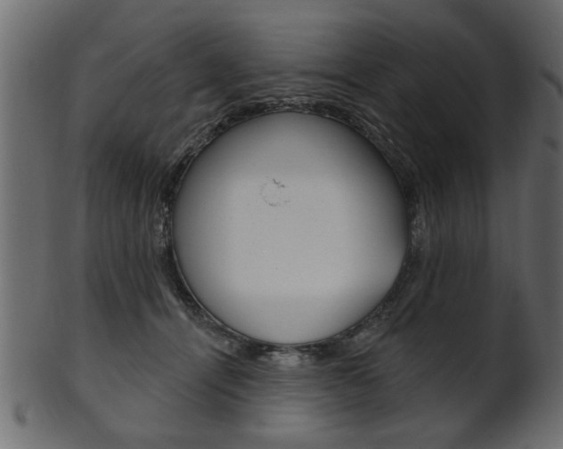 X0000102020464200807180947