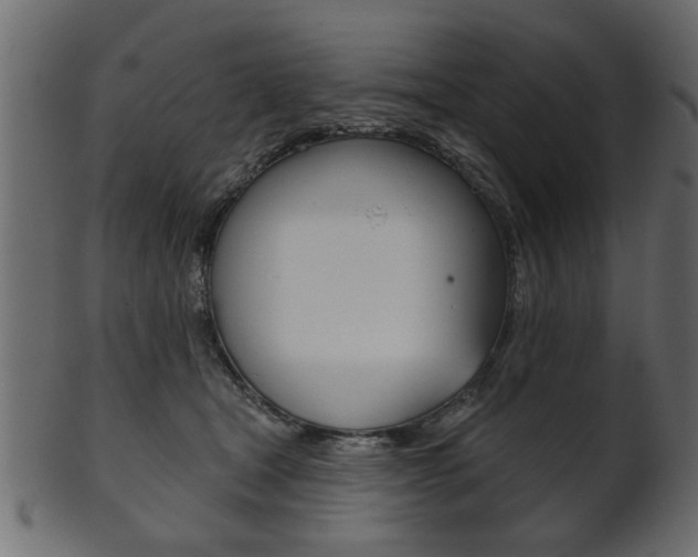 X0000102020465200807180947