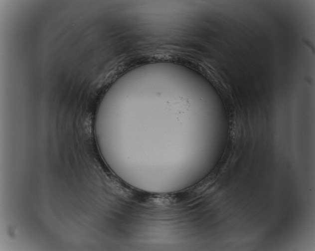 X0000102020466200807180947