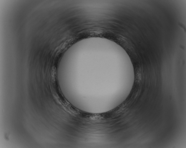 X0000102020468200807180947