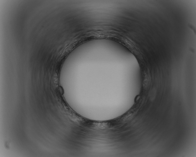 X0000102020469200807180947