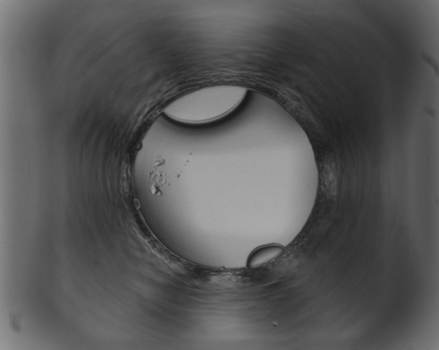 X0000102020470200807180947
