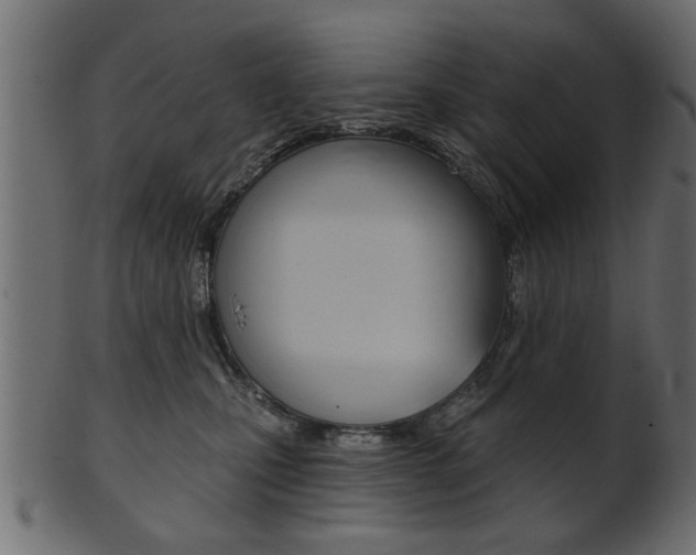X0000102020471200807180947