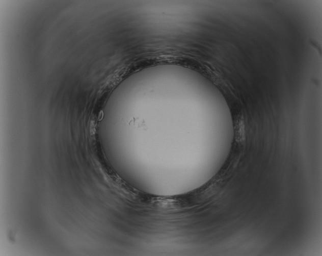 X0000102020472200807180947