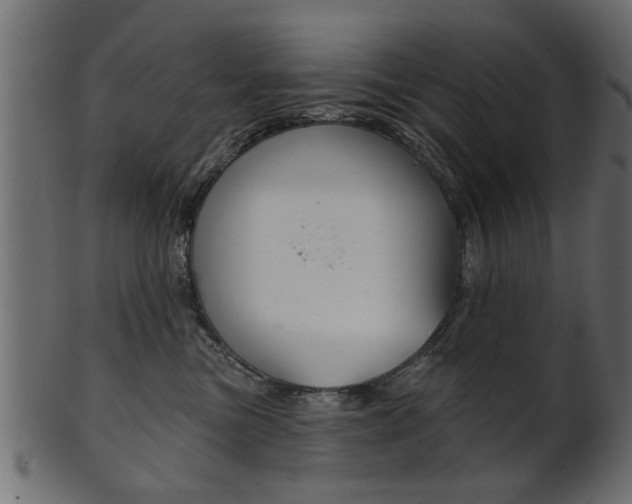 X0000102020473200807180947