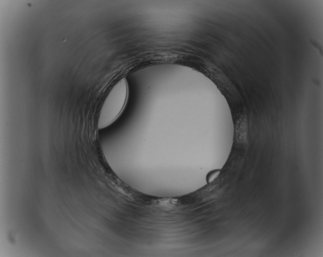 X0000102020474200807180947