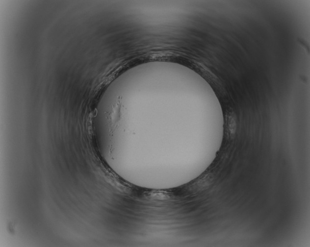 X0000102020475200807180947