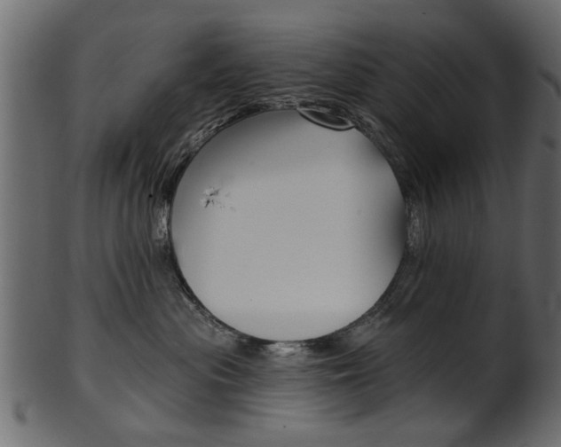 X0000102020477200807180947