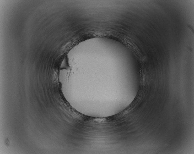 X0000102020478200807180947