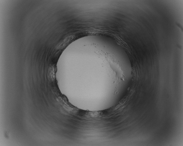 X0000102020479200807180947