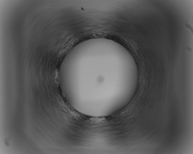 X0000102020480200807180947