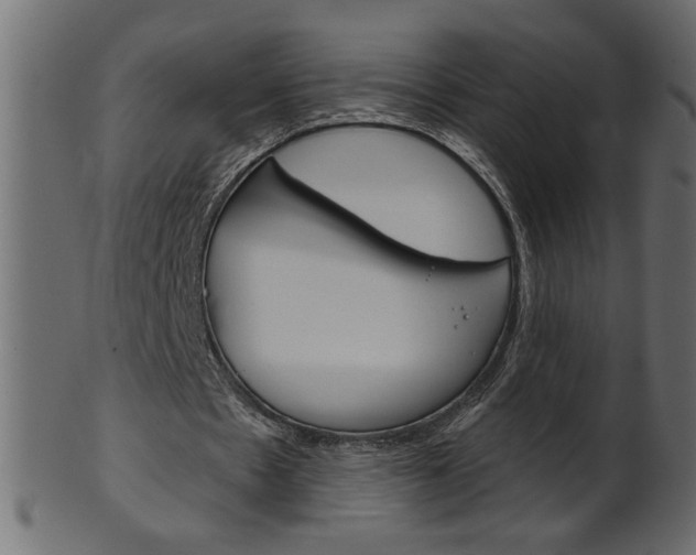 X0000102020481200807180946
