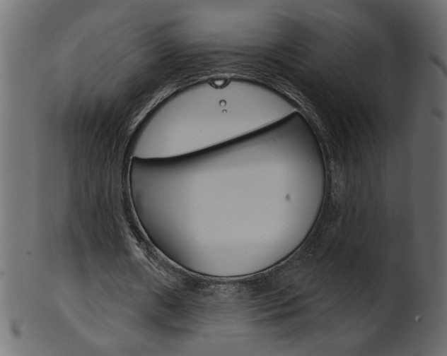 X0000102020482200807180946