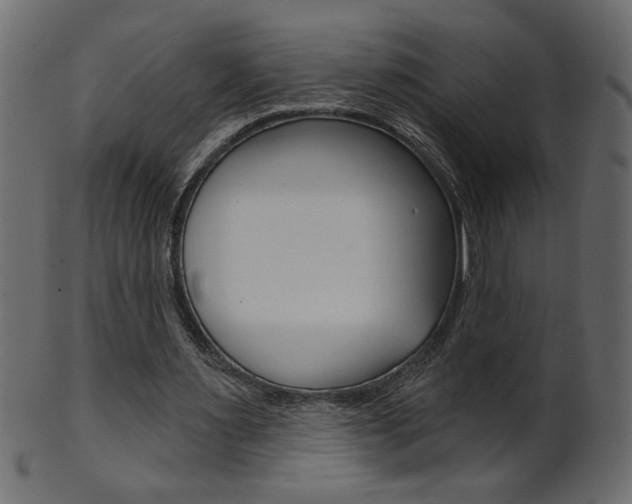X0000102020483200807180946
