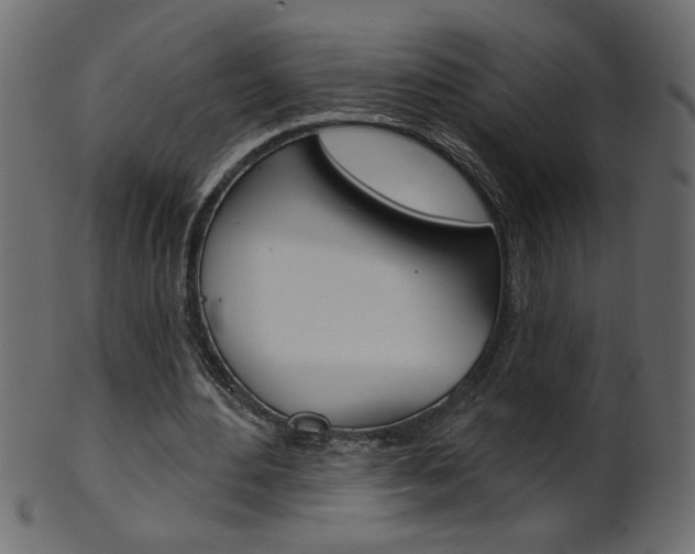X0000102020484200807180946