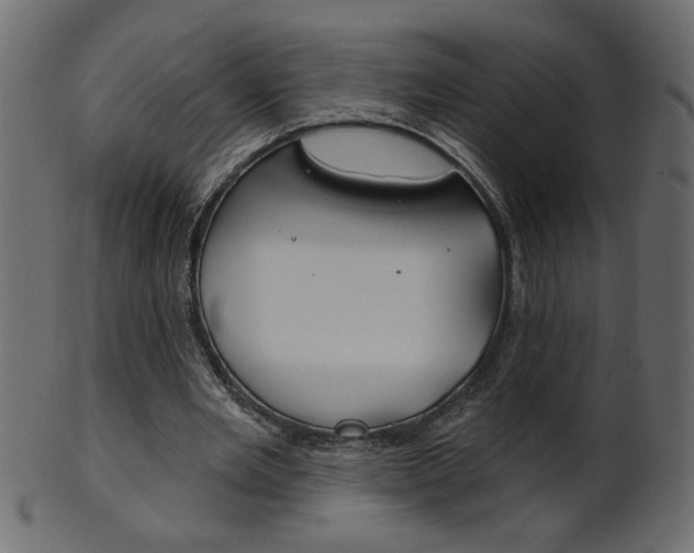 X0000102020485200807180946
