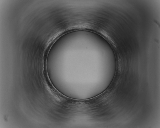 X0000102020486200807180946