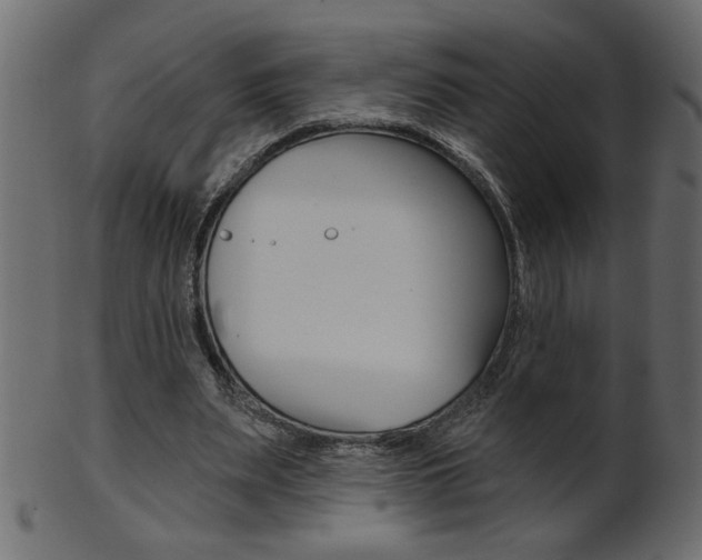 X0000102020487200807180946