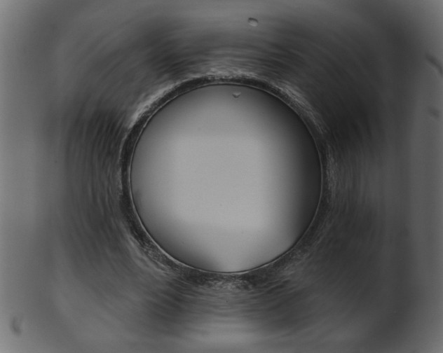 X0000102020488200807180946