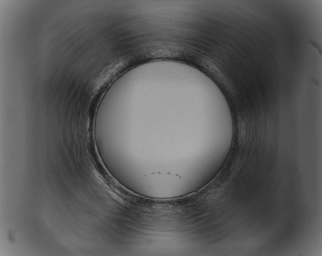 X0000102020490200807180946