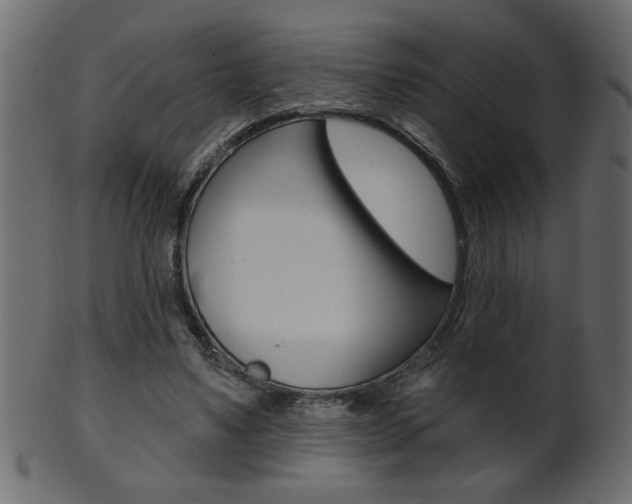 X0000102020491200807180946