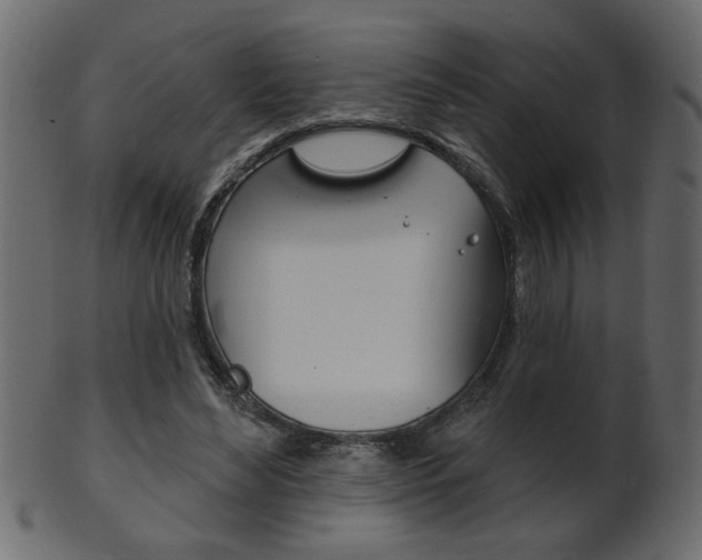 X0000102020492200807180946