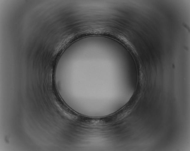 X0000102020493200807180946