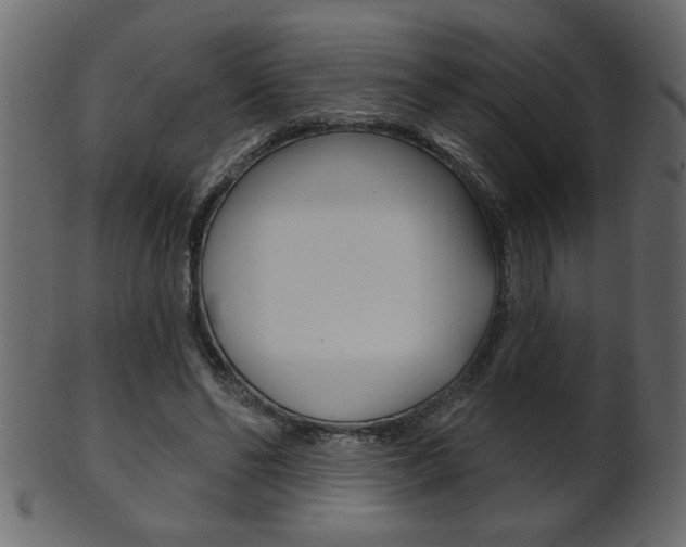 X0000102020494200807180946