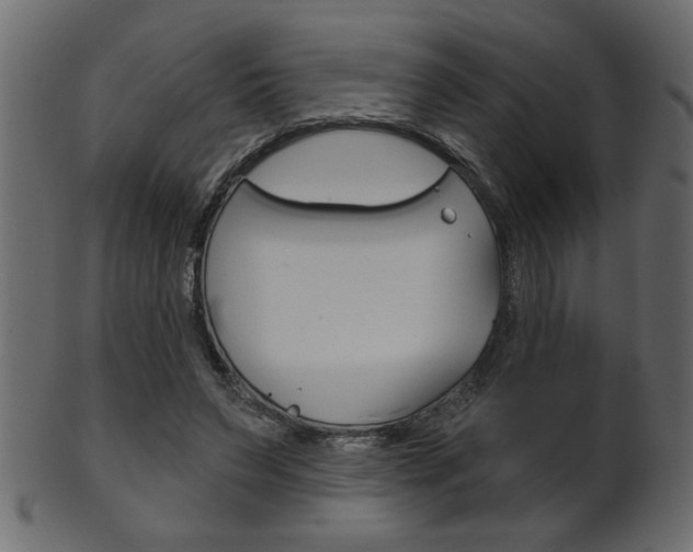 X0000102020495200807180946