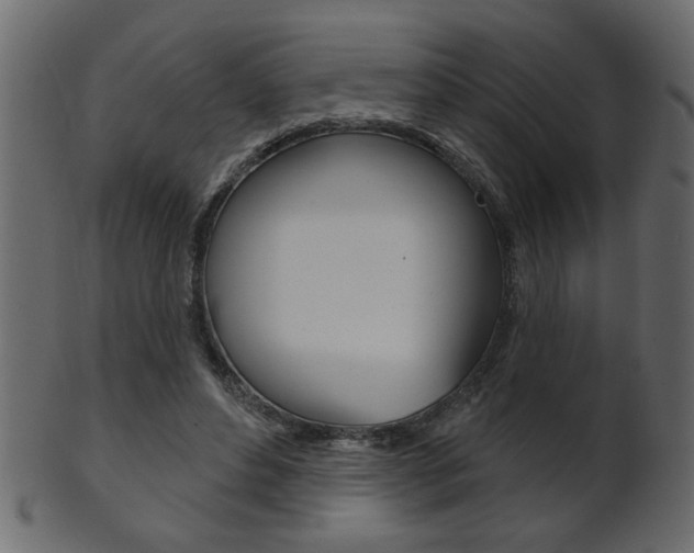 X0000102020496200807180946