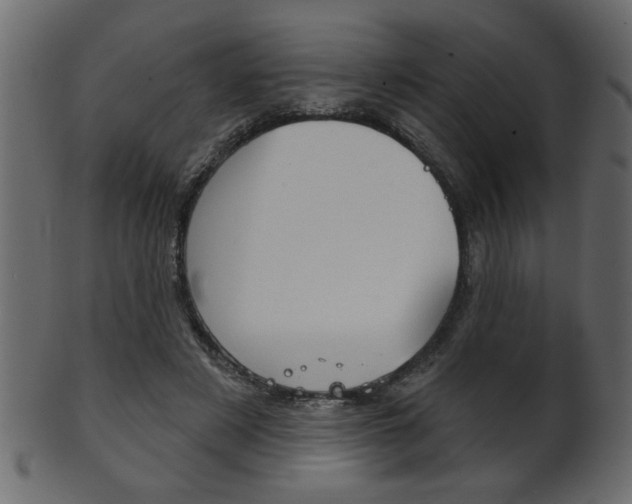 X0000102020497200807180946